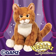 Signature Orange Tabby