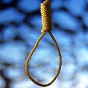 Noose