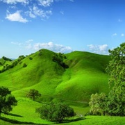 Diablo Foothills Regional Park