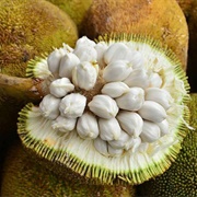 Marang (Artocarpus Odoratissimus)