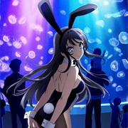 Rascal Does Not Dream of Bunny Girl Senpai