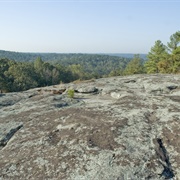Panola Mountain State Park