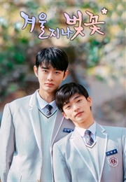 Cherry Blossom After Winter (2022)