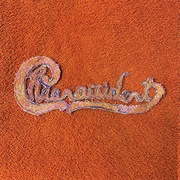 Cheer-Accident - Chicago XX