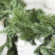 Evergreen Garland
