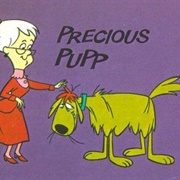 Precious Pup