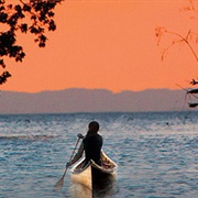 Kya (Where the Crawdads Sing)