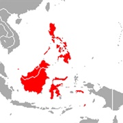 Small Asian Sheath-Tailed Bat