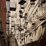 Forgotten Songs, Sydney