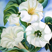 Jimson Weed (Georgia O'Keeffe)