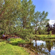 Carburn Park, Calgary