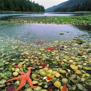 Gwaii Haanas National Park (BC)