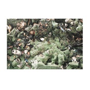 Astrid Sonne - Human Lines