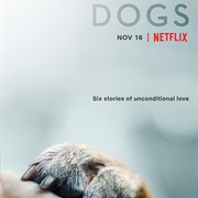 Dogs
