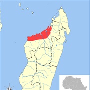 Western Sucker-Footed Bat