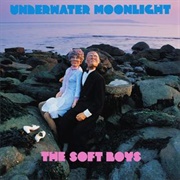 Underwater Moonlight - The Soft Boys