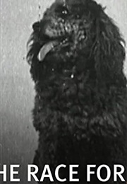 The Race for the Sausage (1907)