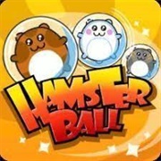 Hamster Ball