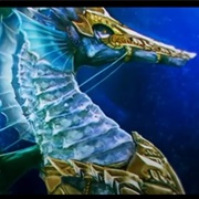 Seahorse