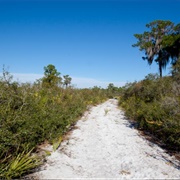 Lake June-In-Winter Scrub Preserve State Park