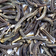 Black Cumin (Elwendia Persica)