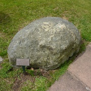 Meg Shelton - Fylde Hag