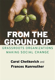 From the Ground Up: Grassroots Organizations Making Social Change (Carol Chetkovich and Frances Kunreuther)