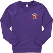 School Jumper (St Richard's)
