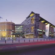 Te Papa Museum, Wellington