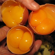 Cracking Open a Double-Yolked Egg: 1 in 1,000