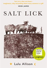 Salt Lick (Lulu Allison)