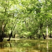 Pearl River, Louisiana