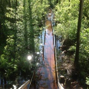 Okefenokee Swamp Park
