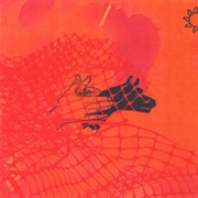 Bad Dream Baby by Hippo Campus