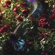 Winter Quilt – O'Discordia (2020)