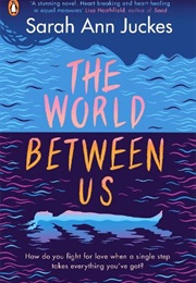 The World Between Us (Sarah Ann Juckes)