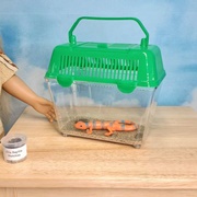 Doll Boy Accessories