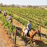 Pokolbin Hunter Valley NSW
