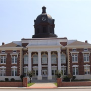 Mount Vernon, Georgia