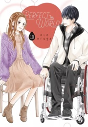 Perfect World Vol. 10 (Rie Aruga)