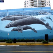 White Rock Whaling Wall, BC, Canada