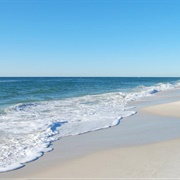 Swim in Gulf of Mexico