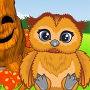 Lil Tricky Owl
