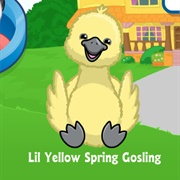 Lil Yellow Spring Gosling