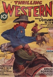 When Outlaws Ride (Bradford Scott)