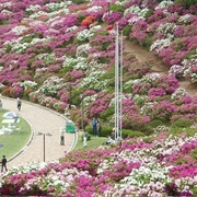 Nishiyama Park, Fukui