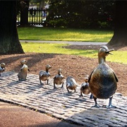Make Way for Ducklings Statue, Boston