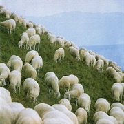 Germinale - Germinale