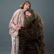 Hagrid and Maxime