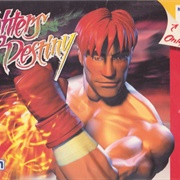 Fighters Destiny